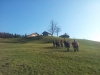 20140112_122906