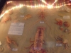 dsc00422